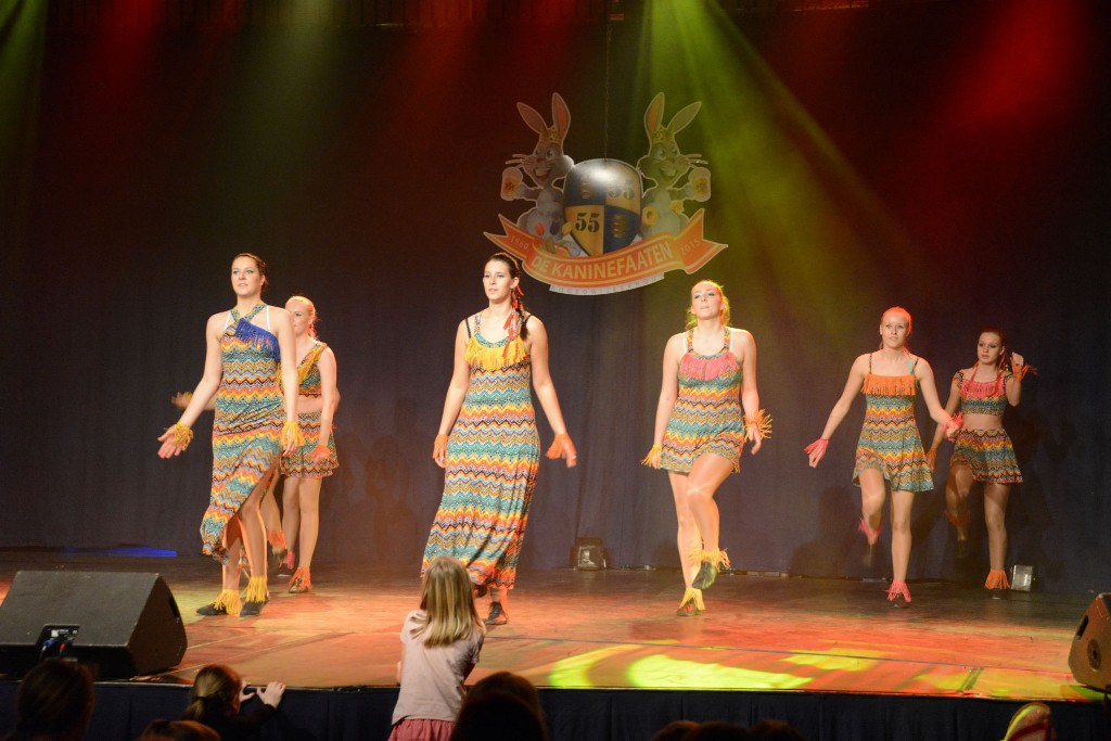 ../Images/Dansmarieke festival 2015 584.jpg